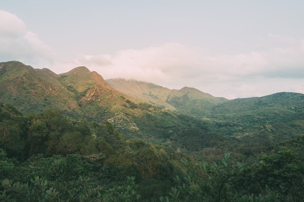 clouds rolling over rich verdant mountains