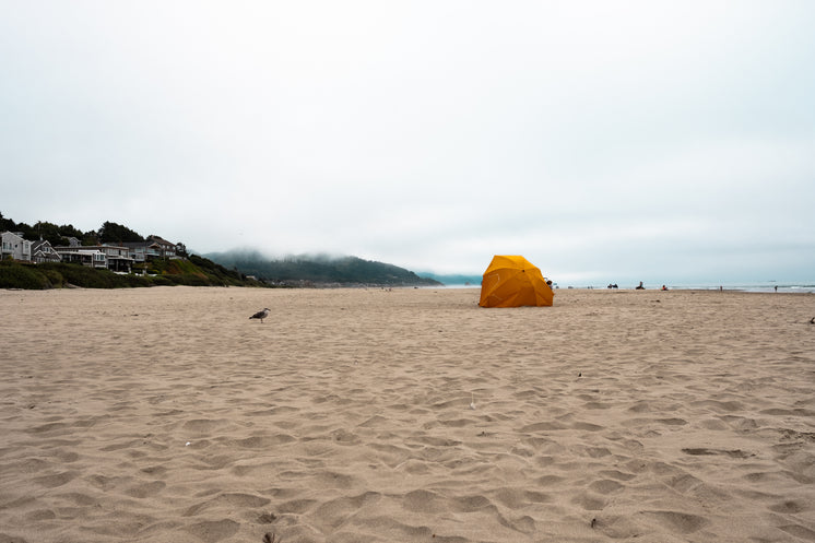 cloudy-day-beach-camp-out.jpg?width=746&