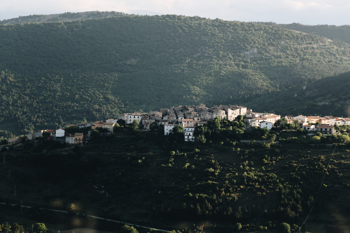 clustered houses on a hill