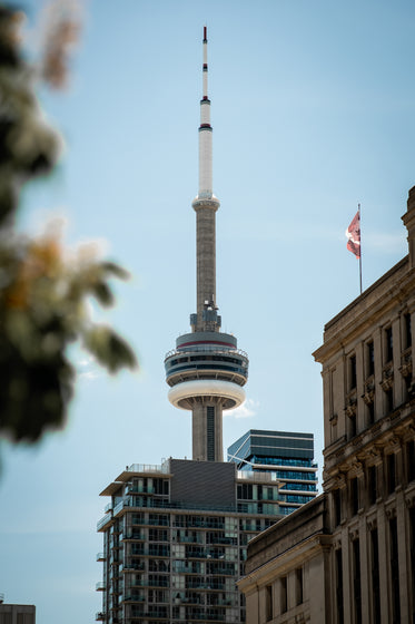 cn tower peeks over the toronto skyline