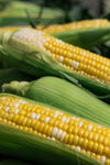 cobs of corn at market