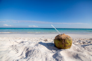 Free Coconut Drink On Beach Photo — High Res Pictures