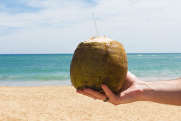 coconut with straw on beach