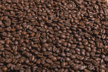 coffee beans flat sideangle