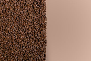 coffee beans half color