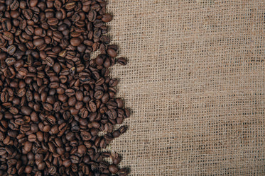 coffee beans on burlap