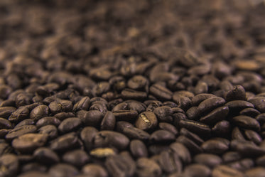 Picture of Coffee Beans Texture - Free Stock Photo