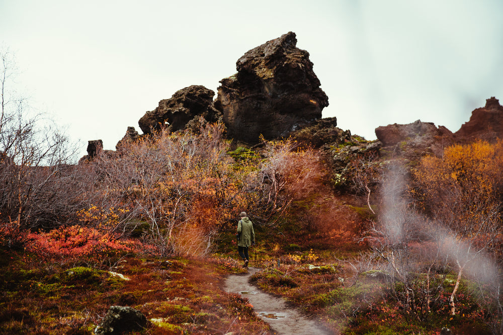 colorful autumn hike