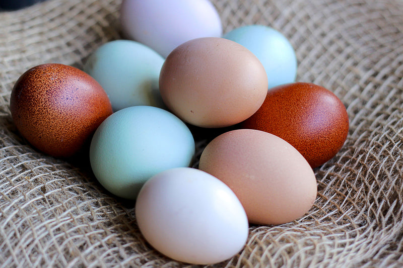 a bunch of eggs and eggs in a basket - colorful bunch of fresh organic eggs in burlap