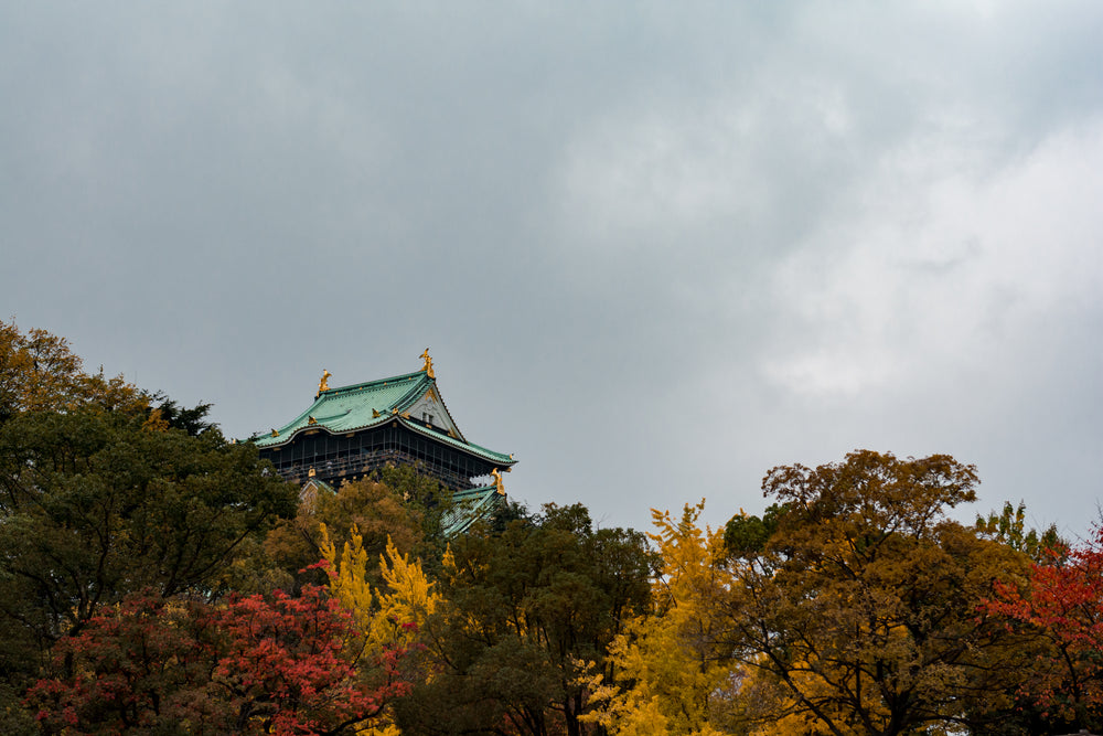 colorful fall trees and a white building peaking out