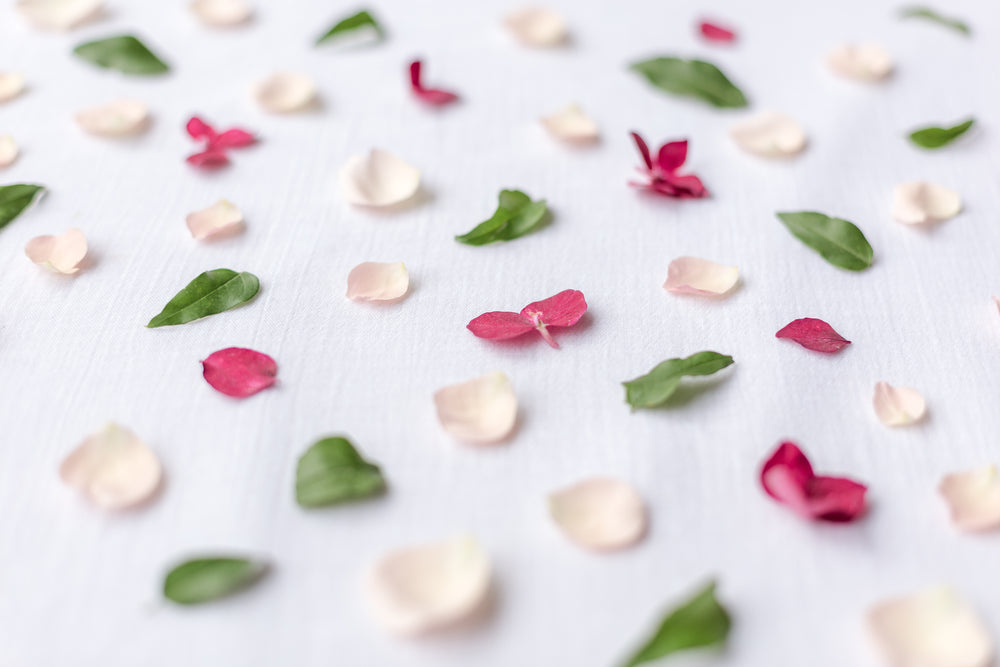 colorful flower petals on a white sheet