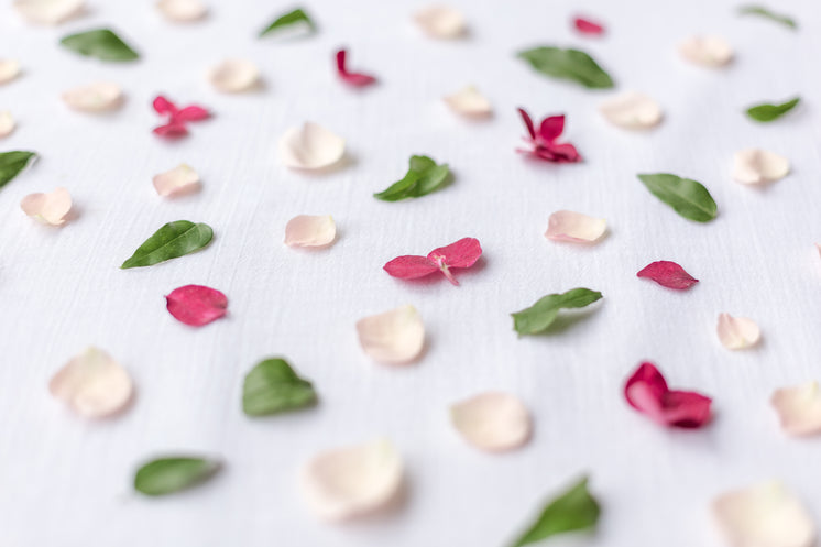 Colorful Flower Petals On A White Sheet