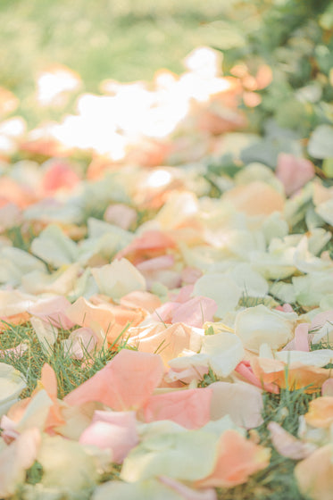 colorful petals scattered on grass