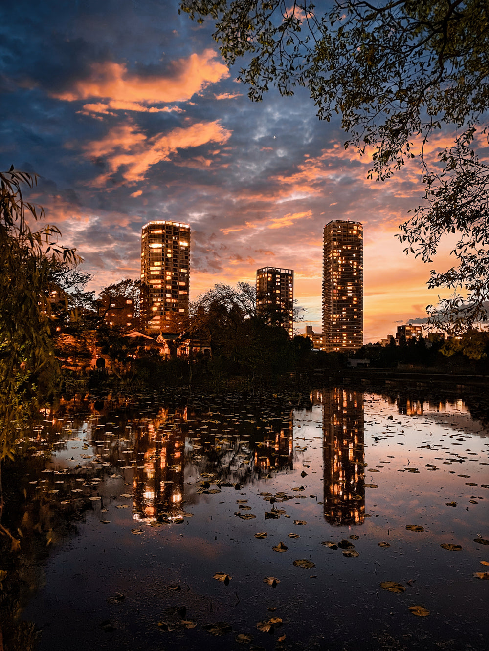 colorful sunset behind buildings reflecting on water