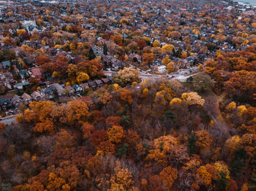 colorful trees surrounding houses