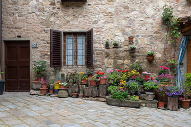 colourful plants and cacti line the front of a house