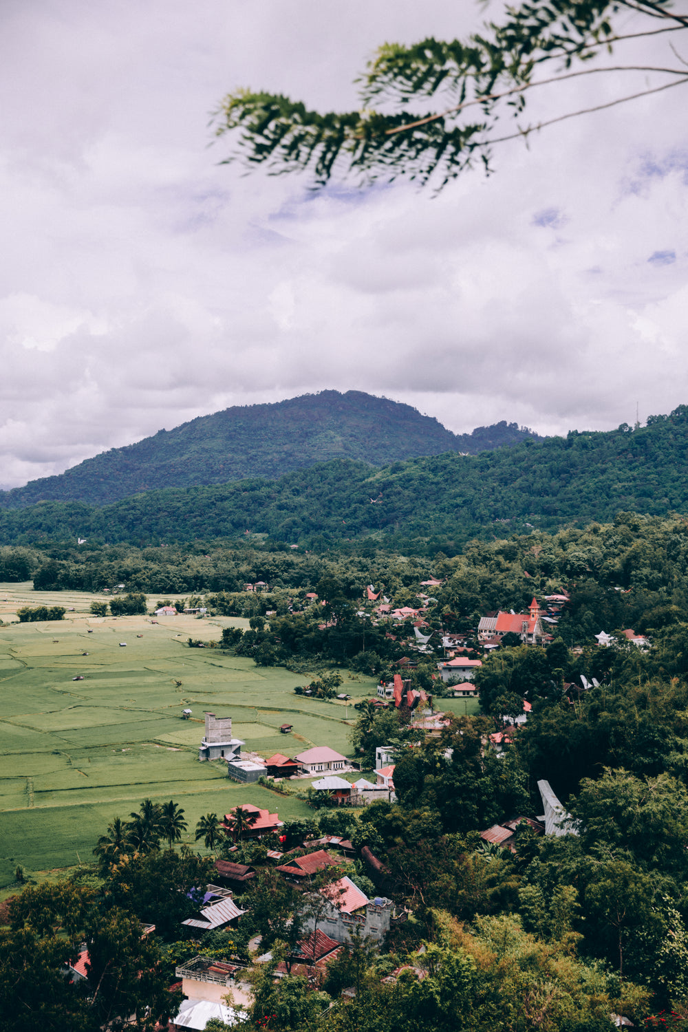 community of red rooftops scattered through jungle