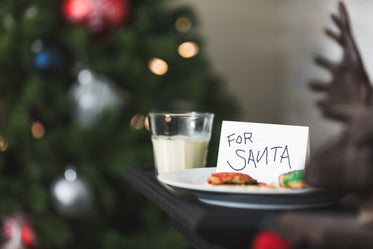 biscoitos e leite para o papai noel