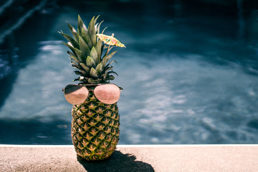 cool pool pineapple