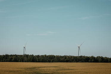 cooling the countryside