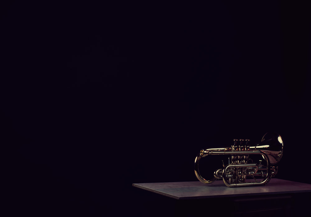 cornet instrument in dark room