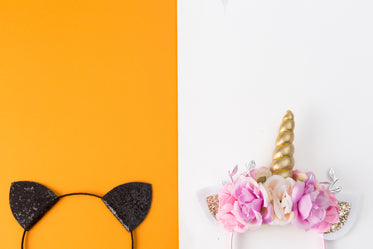 Browse Free HD Images of costume headbands cat and unicorn