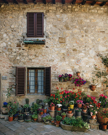 countless plants in a courtyard