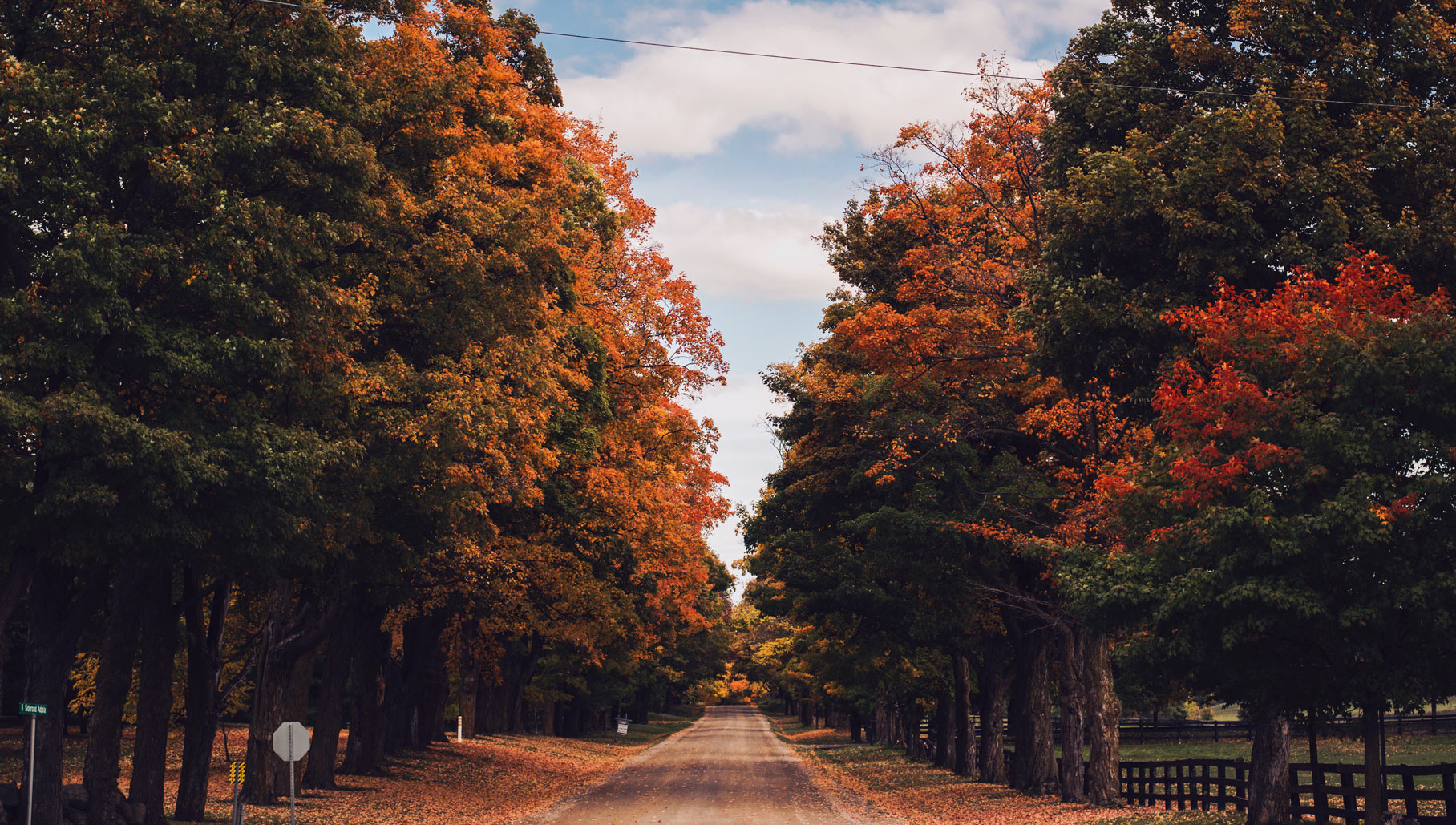 Country Road In Fall Free Country Road In Fall Image: Stunning Photography