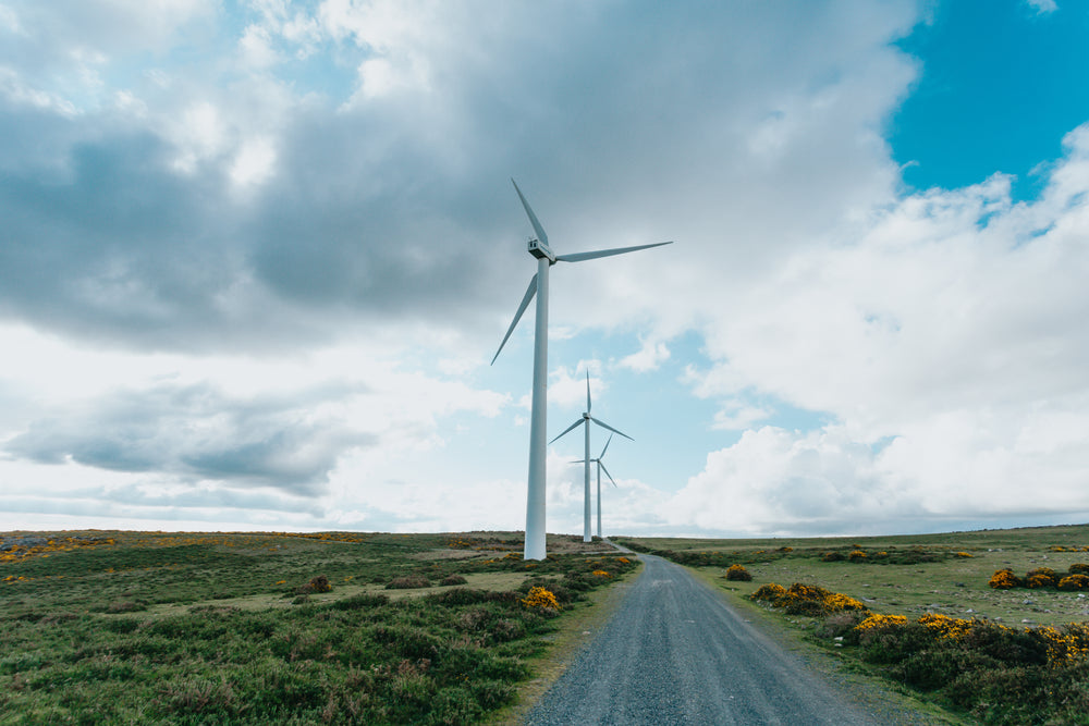 country road with tall windmills on the left