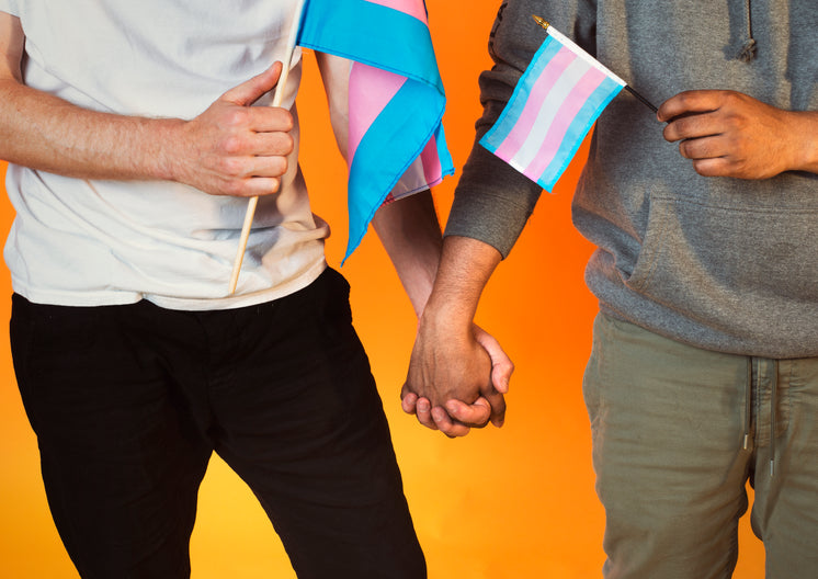 couple-holding-hands-with-trans-pride-fl