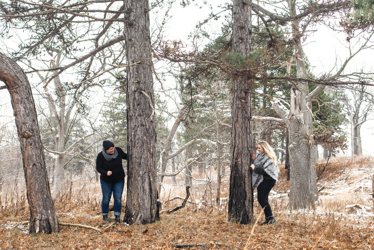 Couple Playing Peek-a-boo Behind Trees