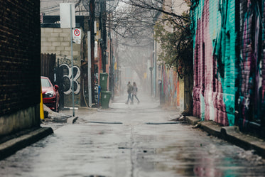 Browse Free HD Images of Couple Walking Through Graffiti Alley