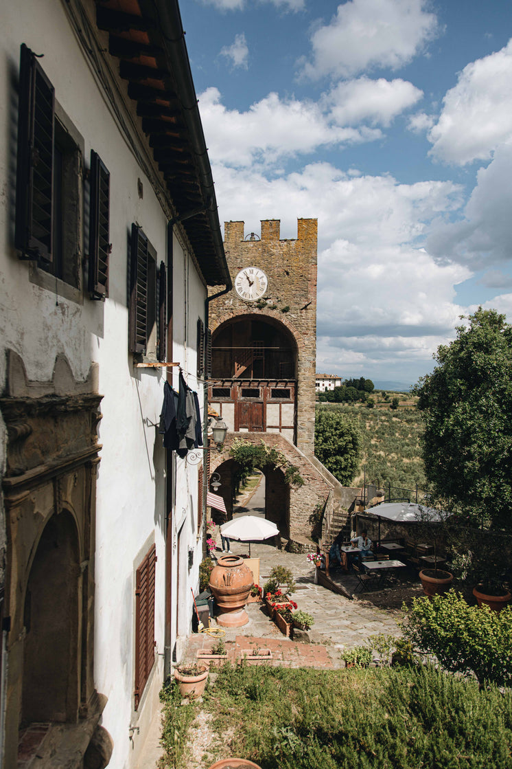 courtyard-in-the-summer-sun.jpg?width=746&format=pjpg&exif=0&iptc=0