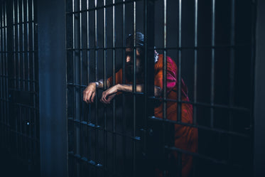 crestfallen prisoner leans on cell door