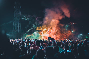 crowd of people watching fireworks display