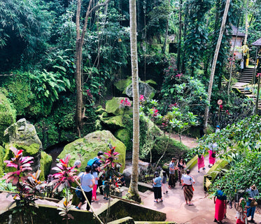 crowds in a lush botanical garden