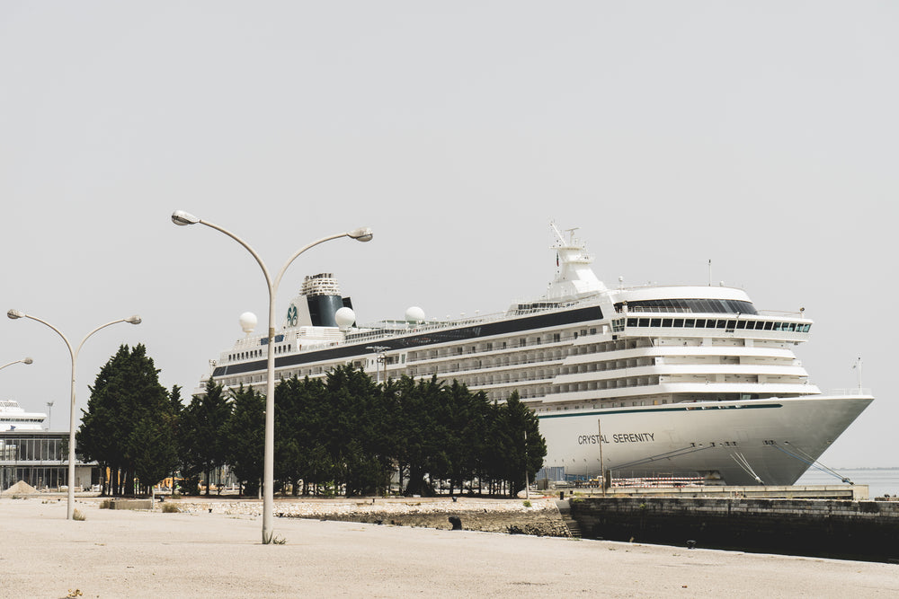 cruise ship docks