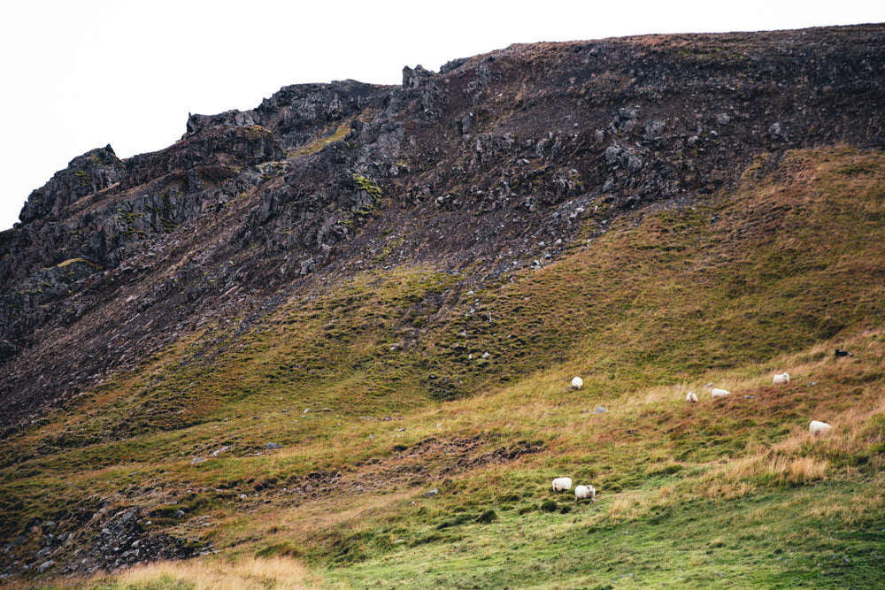 crumbling rocky cliffs