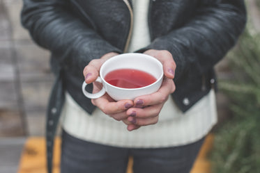 Picture of Cup Of Herbal Tea - Free Stock Photo