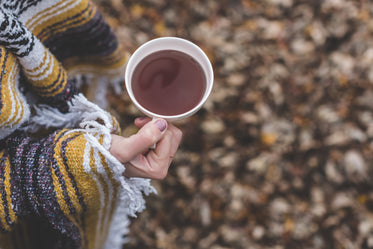 Picture of Cup Of Tea In Autumn - Free Stock Photo