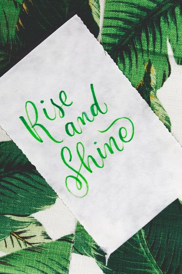 cursive handwriting with 'rise and shine'