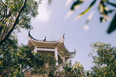 curved roof and trees