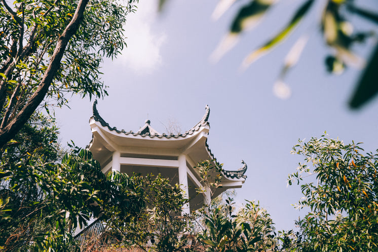 curved-roof-and-trees.jpg?width=746&format=pjpg&exif=0&iptc=0