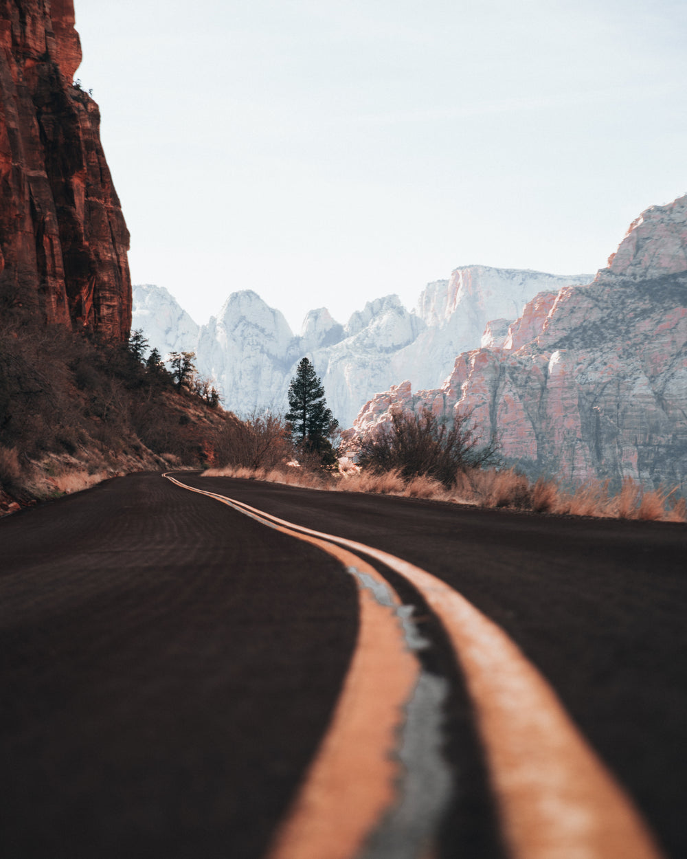 curvy canyon highway close up