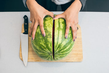 cutting watermelon