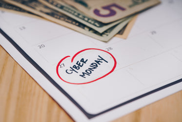 cyber monday date