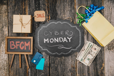 cyber monday shopping