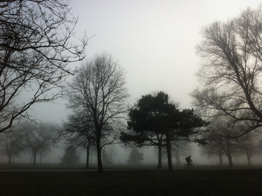 cyclist though misty park