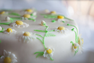 daisy floral cake