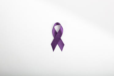 dark purple ribbon centered